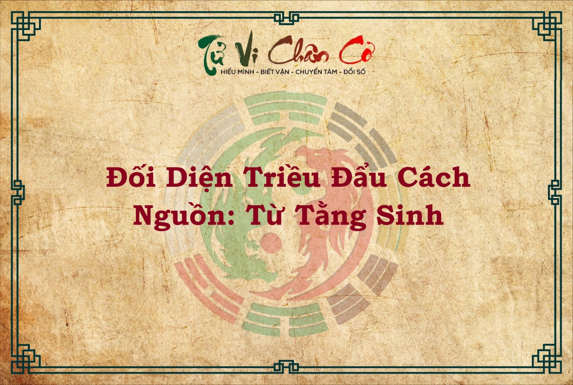 ĐỐI DIỆN TRIỀU ĐẨU CÁCH