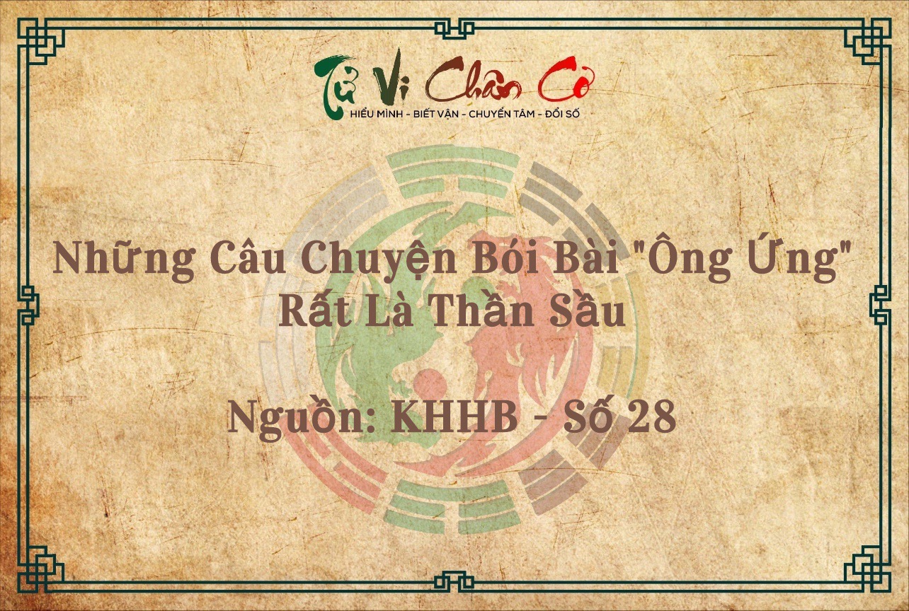 Những Câu Chuyện Bói Bài 