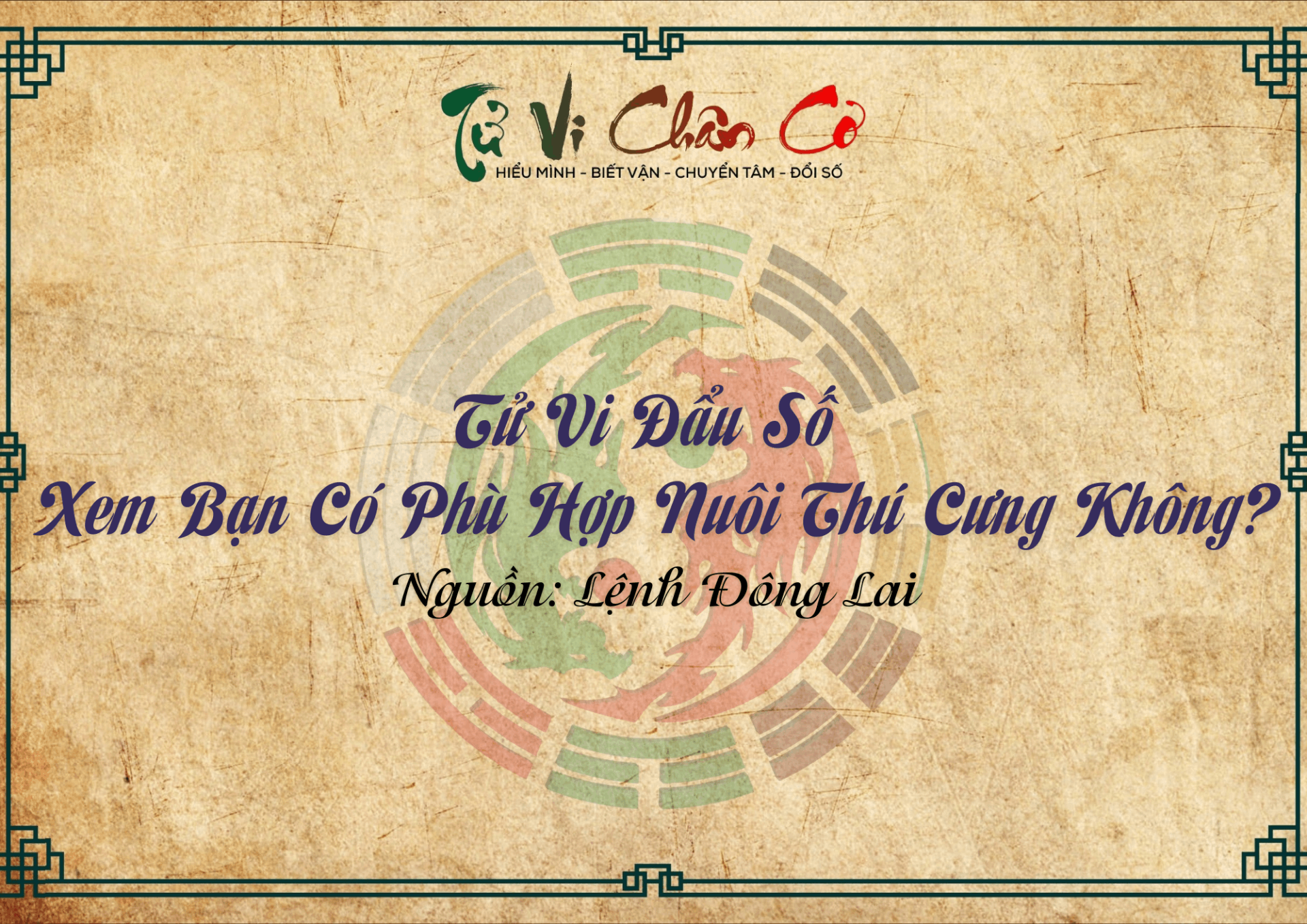 Tử Vi Đẩu Số Xem Bạn Có Phù Hợp Nuôi Thú Cưng Không?