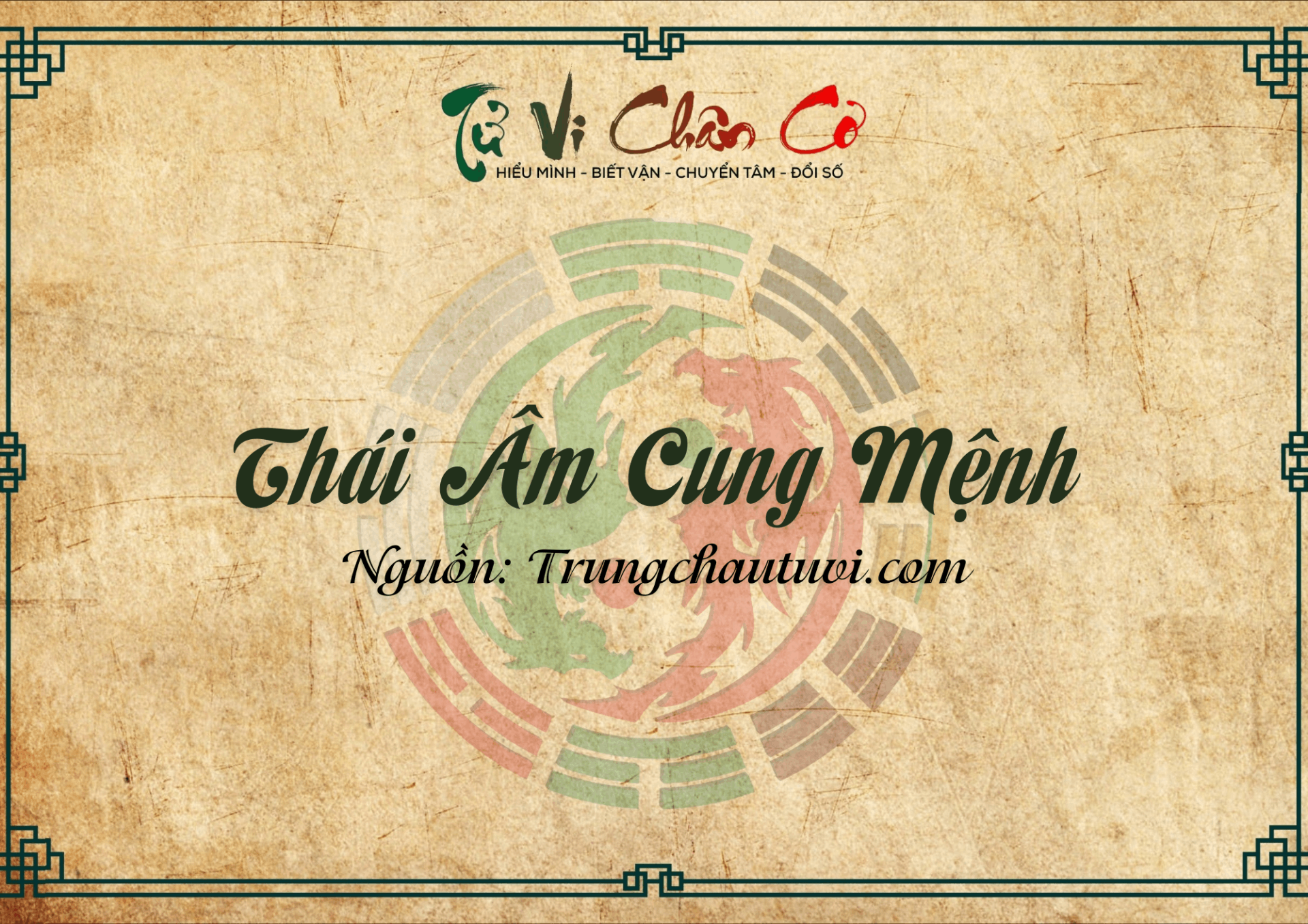 Thái Âm Cung Mệnh