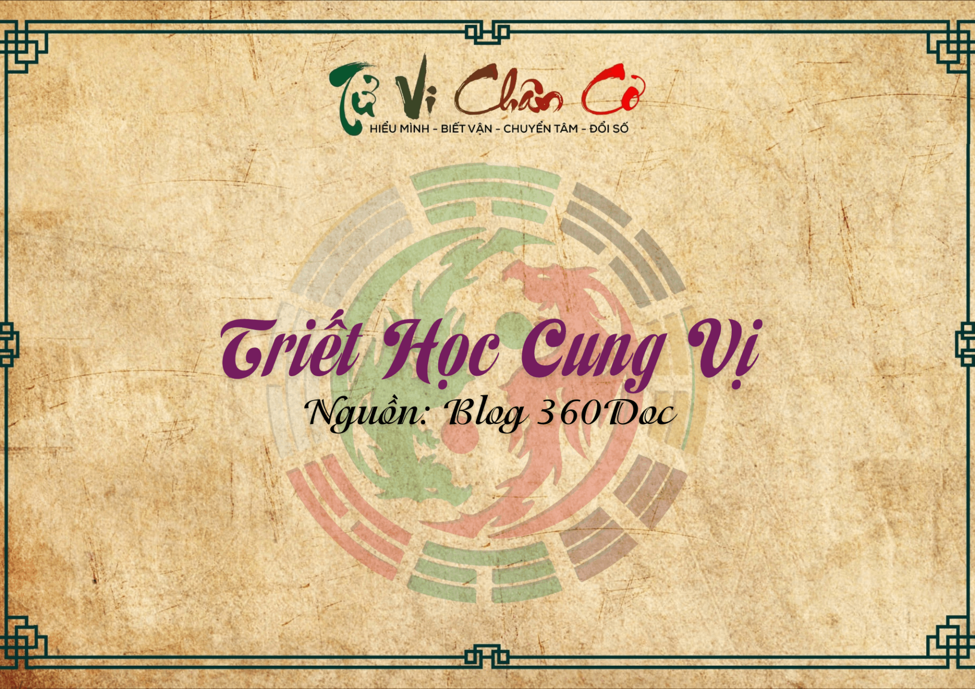 Triết Học Cung Vị