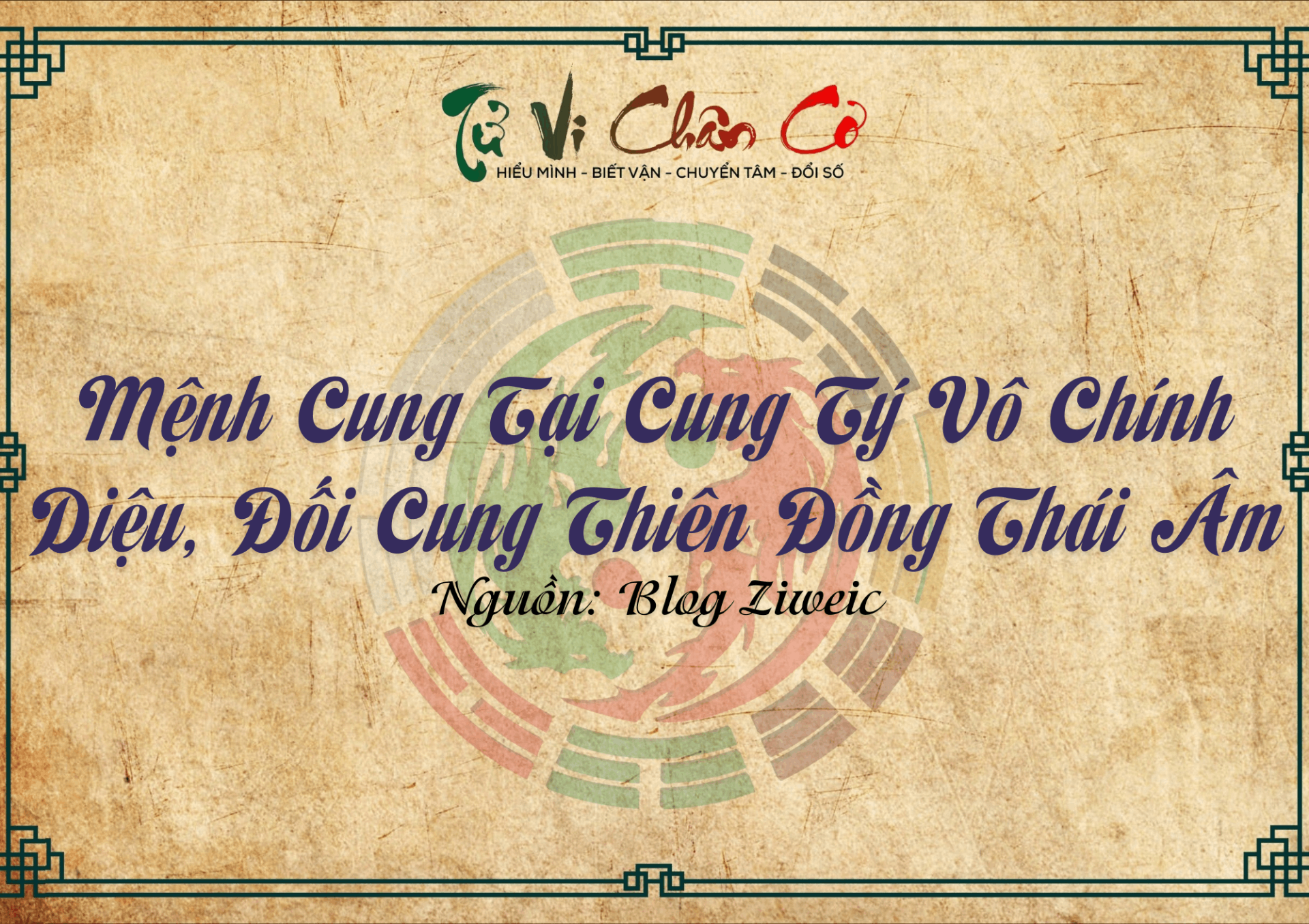 Mệnh Cung Tại Cung Tý Vô Chính Diệu, Đối Cung Thiên Đồng Thái Âm