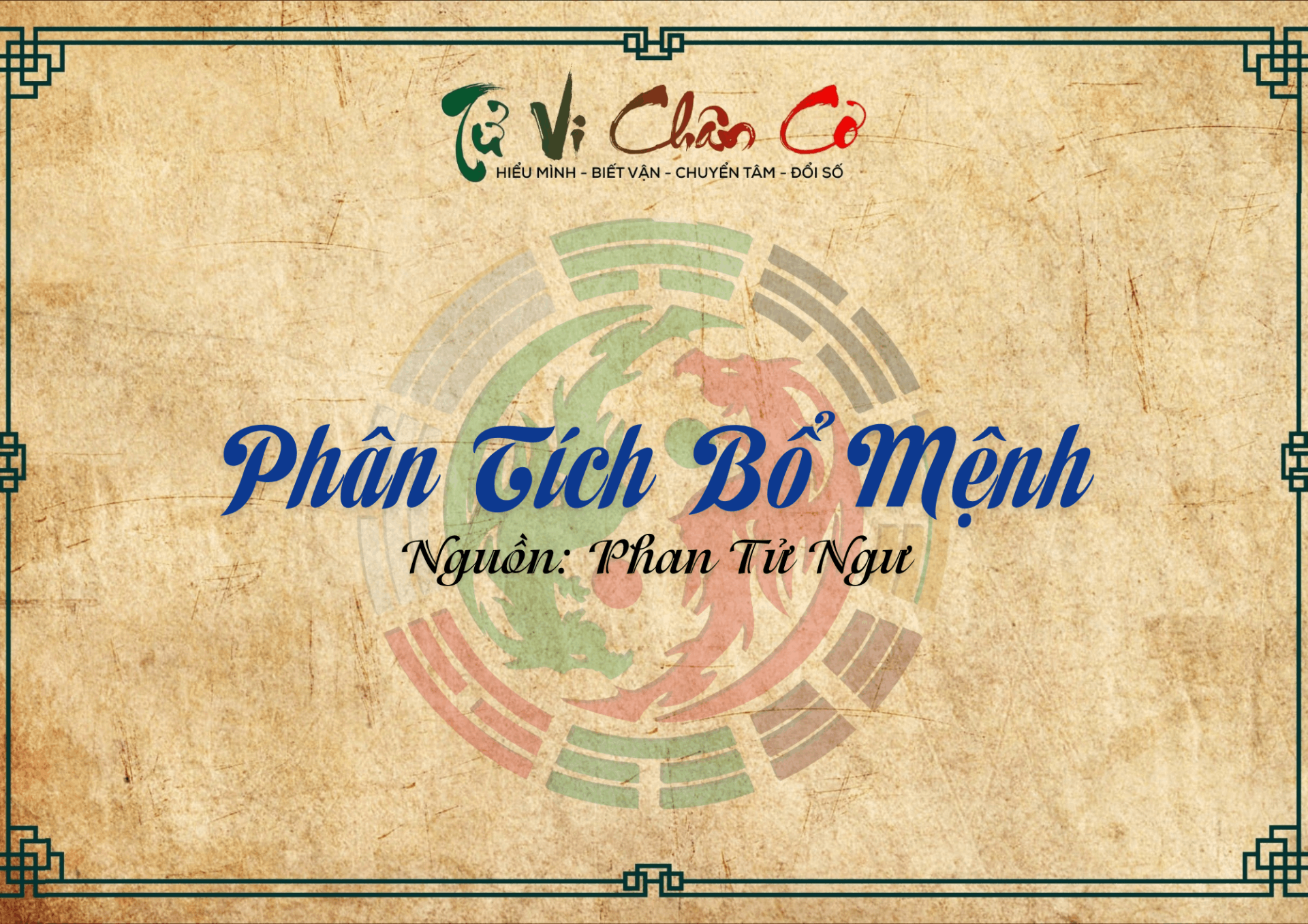 Phân Tích Bổ Mệnh