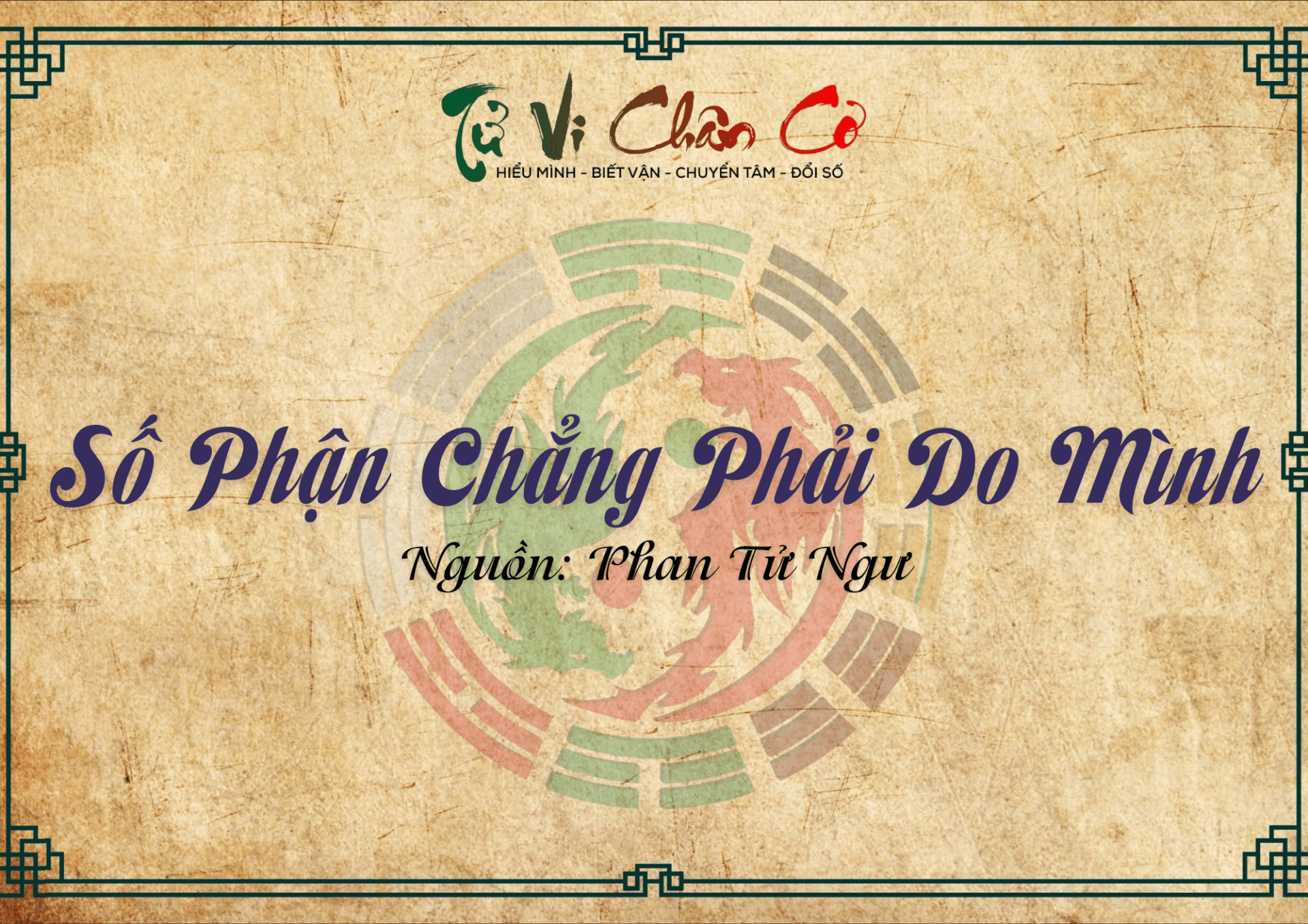 Số Phận Chẳng Phải Do Mình