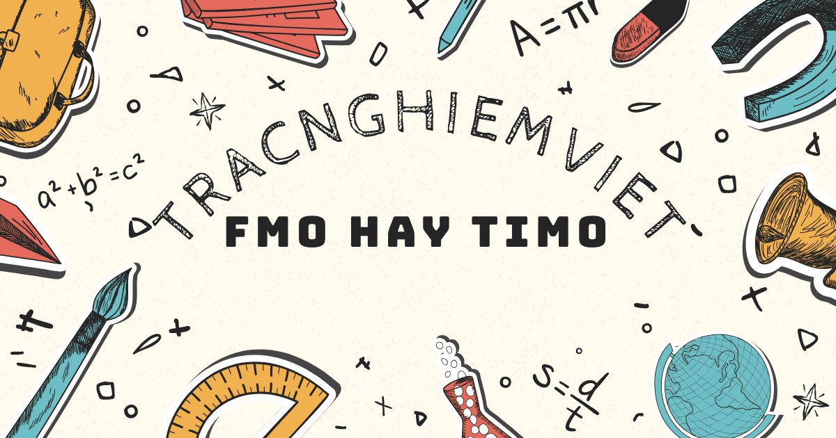 kỳ thi toán quốc tế FMO và TIMO kỳ thi toán quốc tế FMO và TIMO