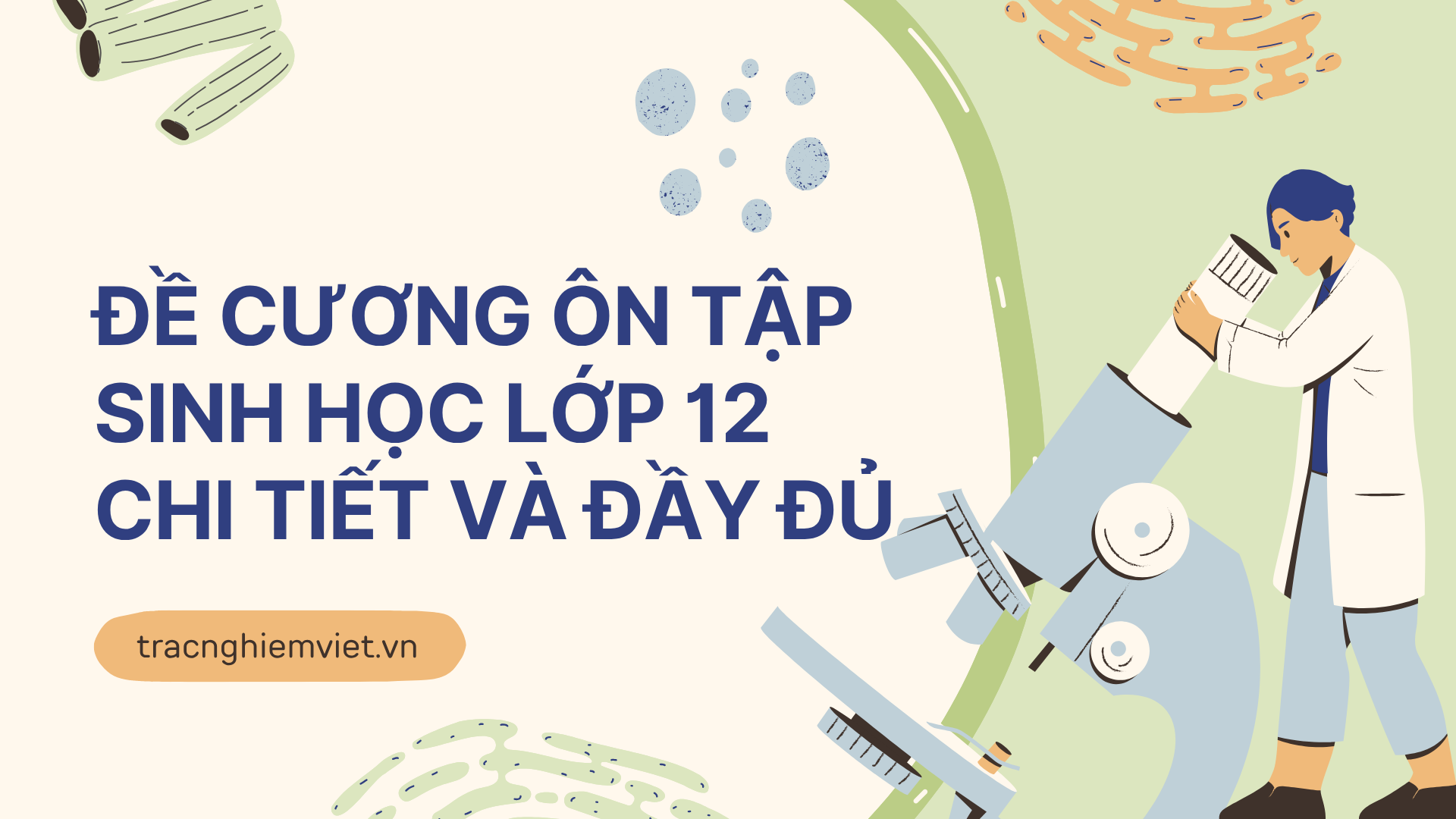 Đề cương ôn tập Sinh học lớp 12 chi tiết và đầy đủ