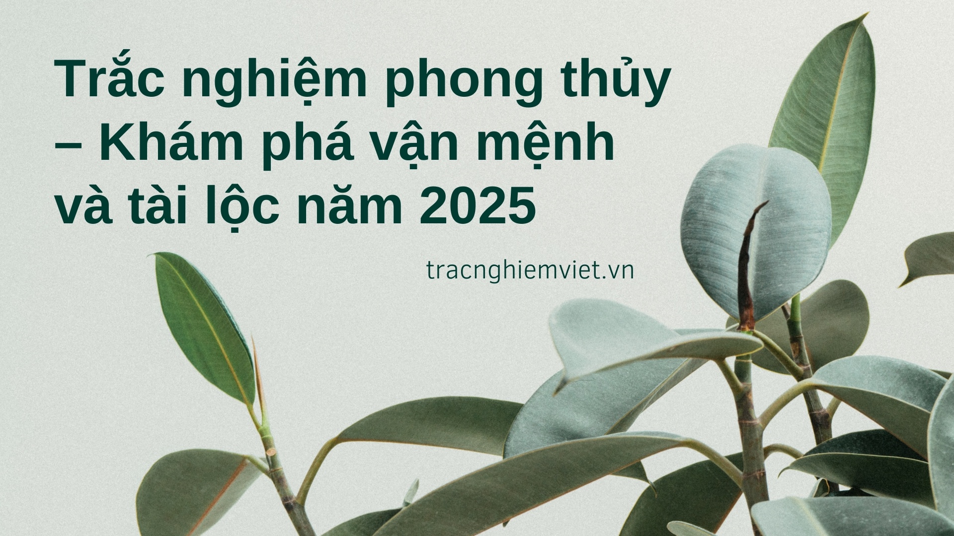 Trắc nghiệm phong thủy – Khám phá vận mệnh và tài lộc năm 2025
