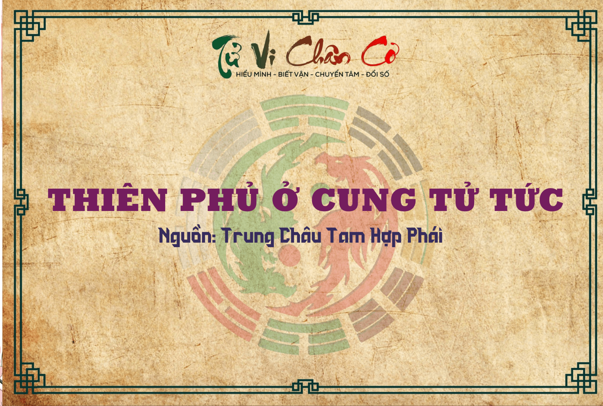 Thiên Phủ Ở Cung Tử Tức