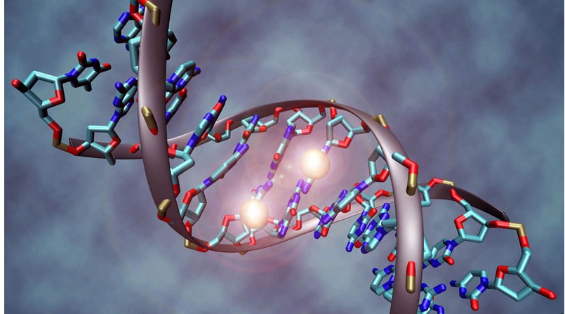 🧬 DNA là gì? Bí mật của sự sống qua kính hiển vi