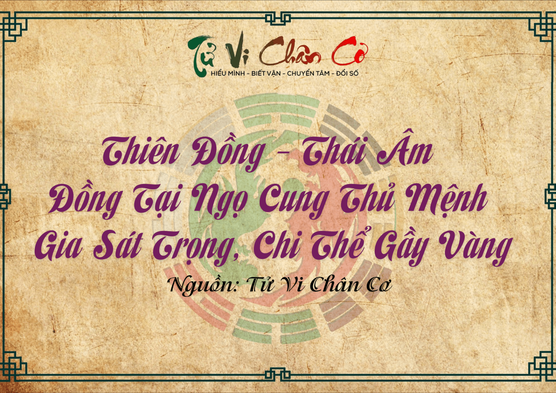 |Tử Vi Chân Cơ| Thiên Đồng - Thái Âm Đồng Tại Ngọ Cung Thủ Mệnh, Gia Sát Trọng, Chi Thể Gầy Vàng