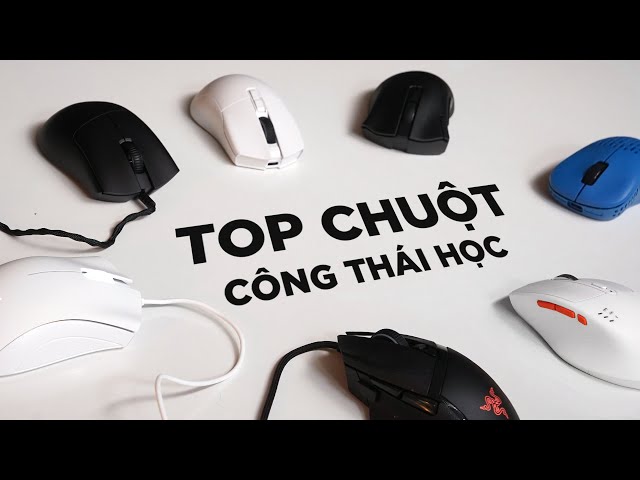 Top chuột công thái học tốt nhất 2026 đáng mua Top chuột công thái học tốt nhất 2026 đáng mua