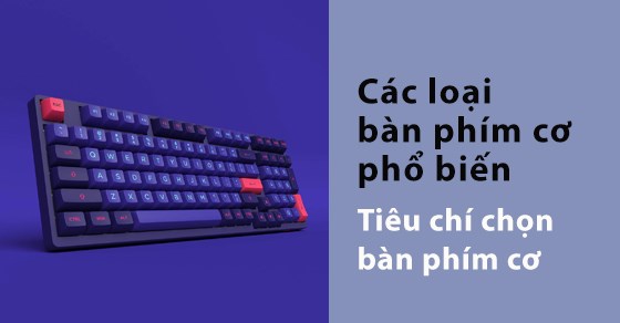 Các tiêu chí cốt lõi để đánh giá một hãng bàn phím cơ tốt