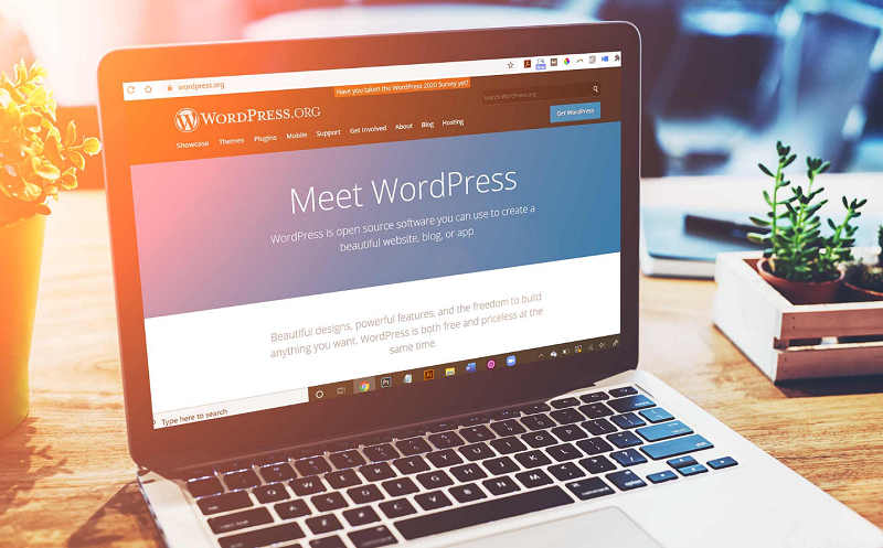 Cách thiết kế web bằng WordPress đơn giản cho người không chuyên