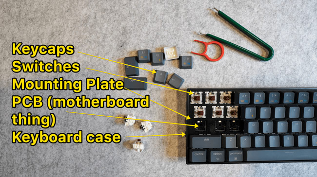 Cấu tạo và nguyên lý hoạt động: Sự khác biệt cốt lõi