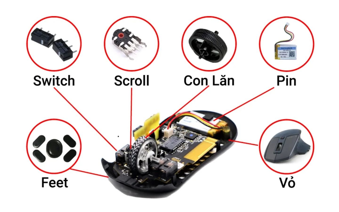 Chuột Bị Double Click – Lỗi Và Cách Sửa