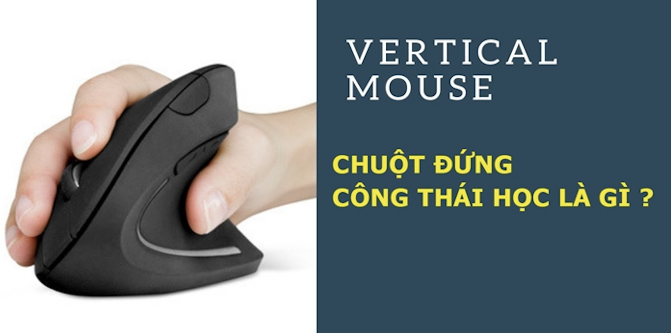Chuột vertical là gì? Hiểu đúng về chuột dọc
