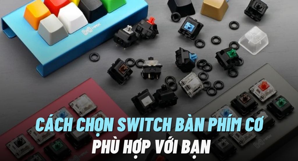 Hướng dẫn chọn switch bàn phím cơ phù hợp với nhu cầu sử dụng