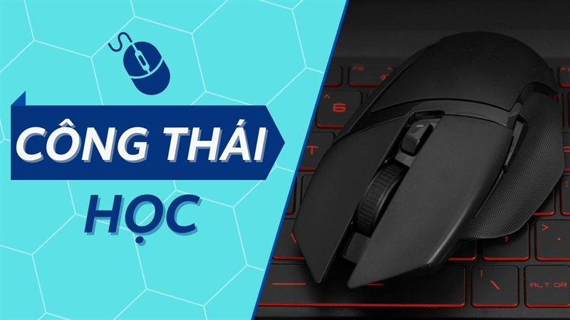 Chuột công thái học là gì? Vì sao dân văn phòng nên sử dụng?