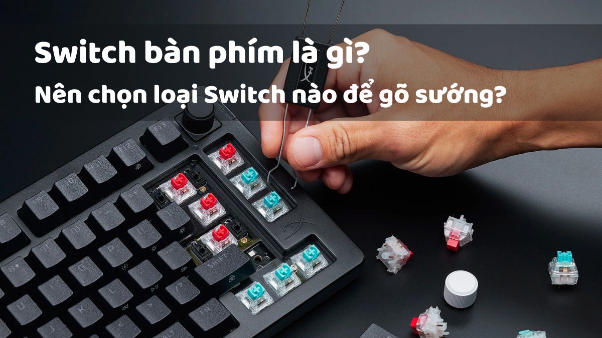 Switch bàn phím cơ là gì? Phân loại các loại switch phổ biến
