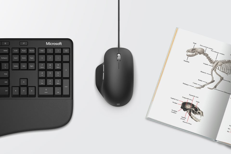 Thiết kế công thái học: Điểm khác biệt của Microsoft