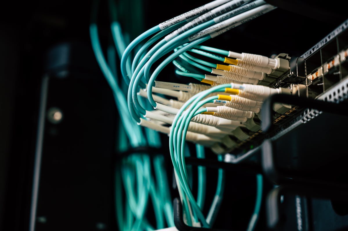 Tầm quan trọng của việc chọn đúng hosting và domain cho doanh nghiệp